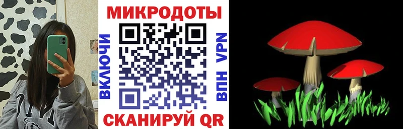 Псилоцибиновые грибы Cubensis  Старая Купавна 